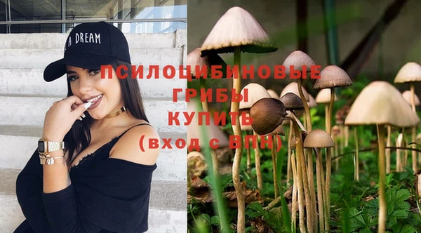 твердый Краснотурьинск