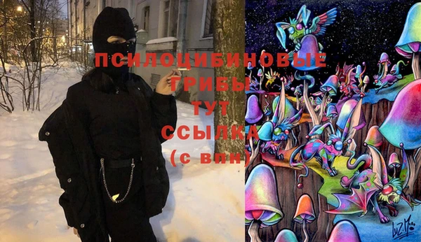 a pvp Костерёво