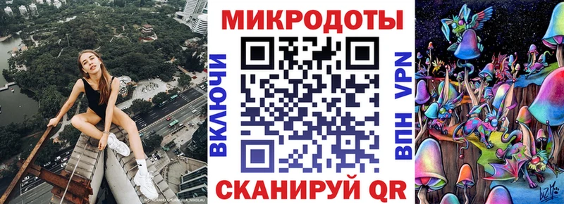 купить  сайты  Талдом  Галлюциногенные грибы Psilocybe 